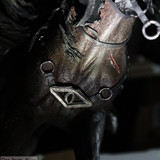 018 Ringwraith at the Fjord