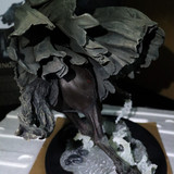 015 Ringwraith at the Fjord