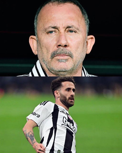 554553513 122271680654022585 1856458844420207942 n.jpg?stp=dst jpg s640x640 tt6& nc cat=104&ccb=1 7&.jpg