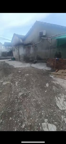 553823626 791382929925502 4122903172063353794 n.jpg