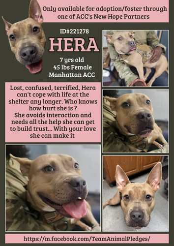 GzAfFh XMAArDOh?format=jpg.jpg