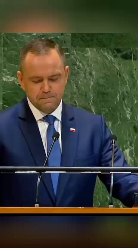 88NNQgWpVY8Q CkT.jpg