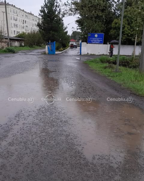 554105756 1721178315349471 8968829481323581128 n.jpg?stp=dst jpg s600x600 tt6& nc cat=103&ccb=1 7& n.jpg