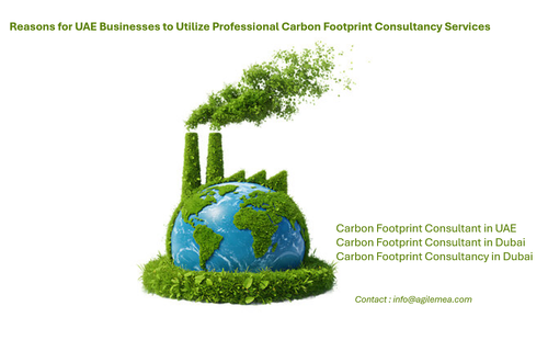 Carbon footprint.jpg.png