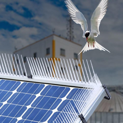 Best solar panel protection in Norfolk.jpg
