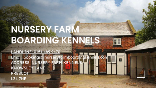 Dog boarding kennels Liverpool.png