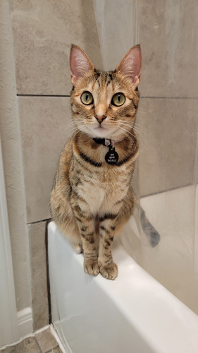 554534609 3230960300388090 3670710378815844882 n.jpg