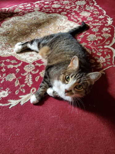 554228828 10163735188223910 5844334108806580759 n.jpg