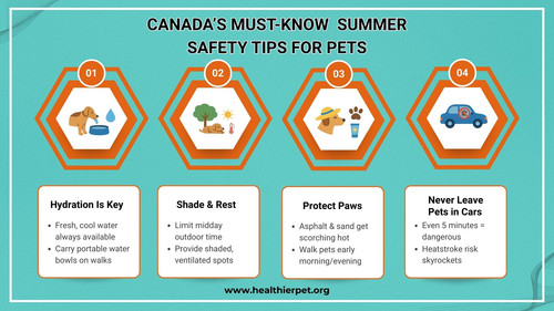 Protect Your Pets This Summer: Essential Safety Tips for Canadian Dogs and Cats.jpg