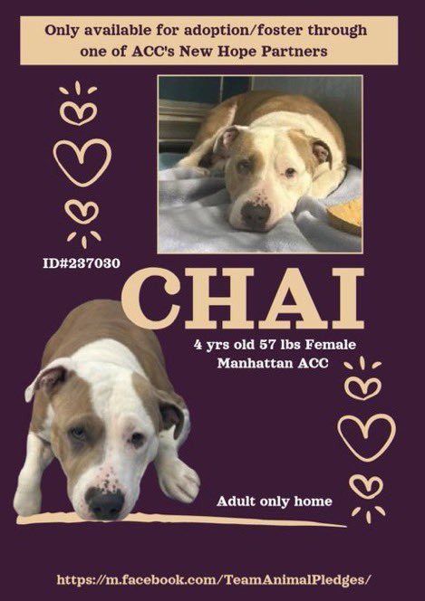 G1cbwwUXQAAY Oe?format=jpg.jpg