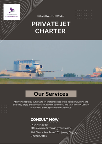 private jet charter (1).png