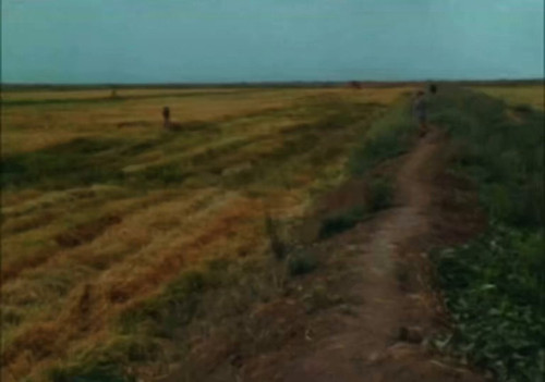 1FxhRV fL8mbqim1.jpg