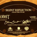 001 Silent Reflection