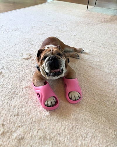 ImxJn94pax86dENNOuw0BBo5JjaXVyDZOBUzvhNTwuzge4j3VOlgTbsJxeLYQEisQrP6D0WkWa08 S1FYzcyf3xjY5WAHjNyovEy.jpg