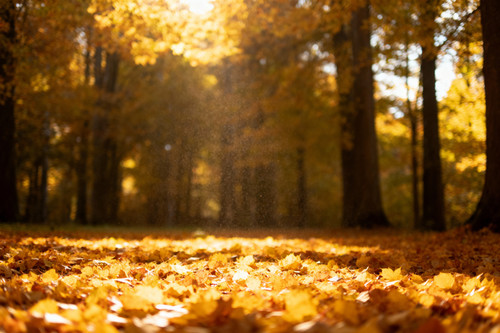 2025 09 25T15 25 39 359Z 15vkwg.jpg