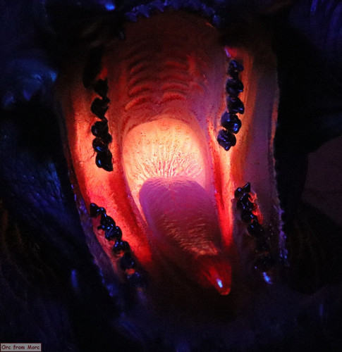 008 Balrog Bust.jpg