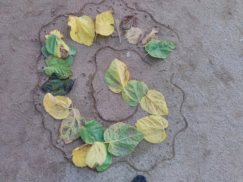 IMG 20250922 084615.jpg