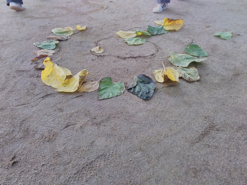 IMG 20250922 084733.jpg