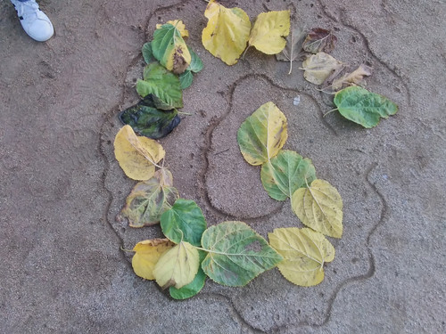 IMG 20250922 084545.jpg