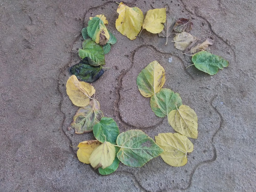 IMG 20250922 084547.jpg