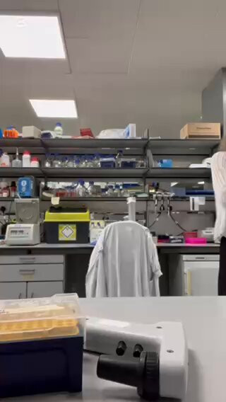 PYQimlqEJy8 CyEV.jpg