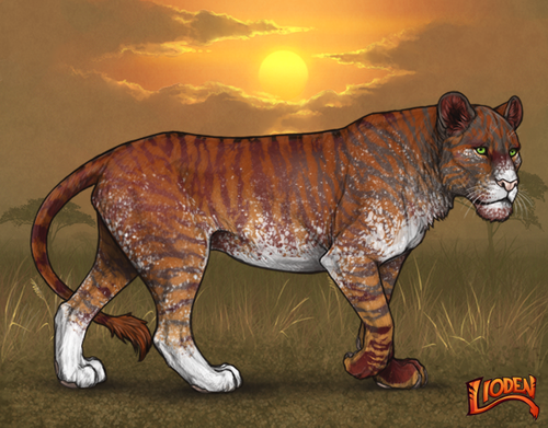 lioden wardrobe 3.png