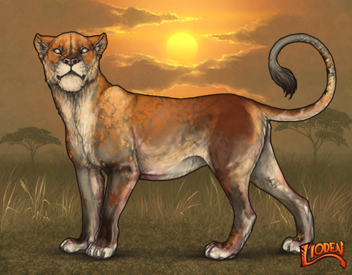 lioden wardrobe 2.png