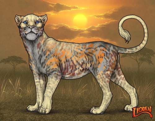 lioden wardrobe 6.png