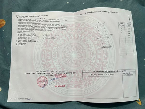 550404596 122107226577000186 6777621958456559667 n