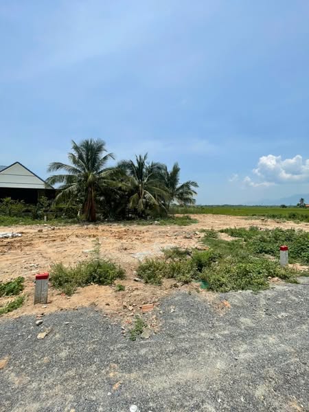 550386402 1856368358566453 6222787926946270833 n.jpg