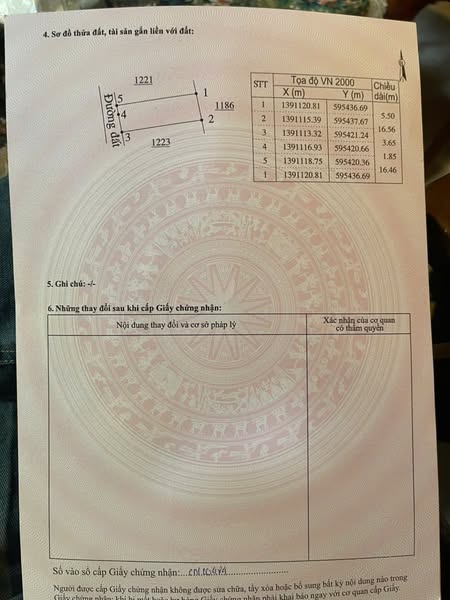 554984232 1856368275233128 9120229799294769810 n.jpg