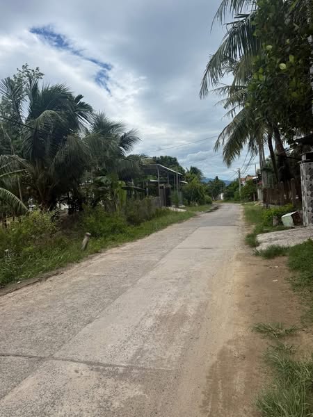 552542030 1182600403704292 7306864027702587773 n.jpg