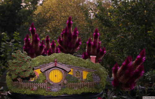 004 #13 Apple Orchard.jpg