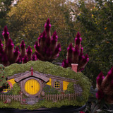 004 #13 Apple Orchard