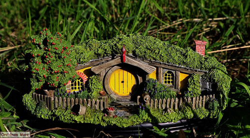 003 #13 Apple Orchard.jpg