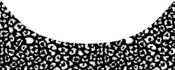 thumb 772 2587 1000080090.png