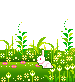 E83B4956 C562 4CA7 806E E223AD8B2861.gif