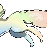 pastel cat 5
