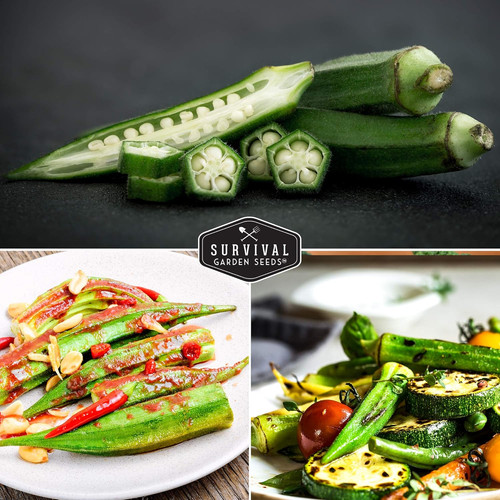 91wum2D c7L. AC SL1500 .jpg