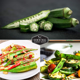 91wum2D c7L. AC SL1500 