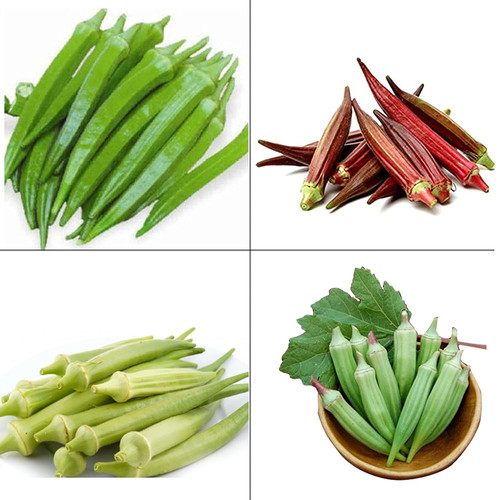 81AD5psUMXS. SL1500 .jpg