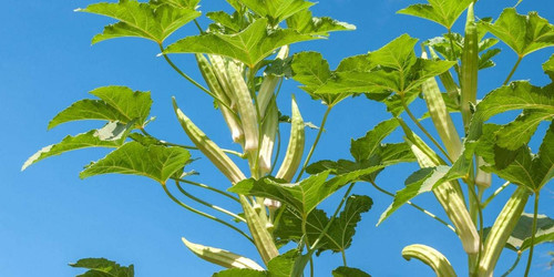 61jDjEUVkmL. SL1280 .jpg