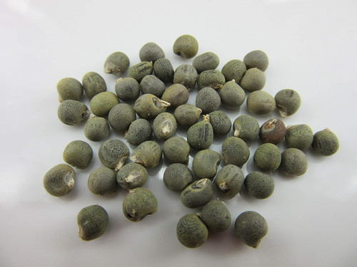 81R9O8lhzbL. AC SL1500 .jpg