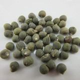 81R9O8lhzbL. AC SL1500 