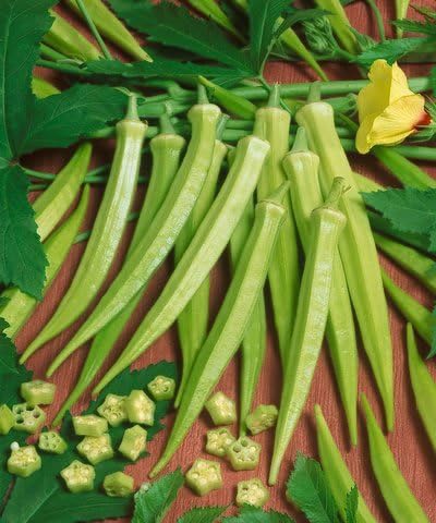 51G4WYJMcxL. AC .jpg