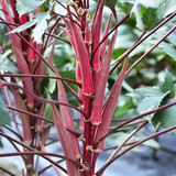 91kS2ifT 4L. AC SL1500 