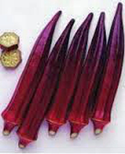 61IvLwJdO L. AC SL1228 .jpg