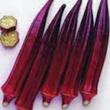 61IvLwJdO L. AC SL1228 