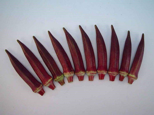 61WpaB9siOL. AC SL1068 .jpg