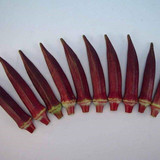 61WpaB9siOL. AC SL1068 